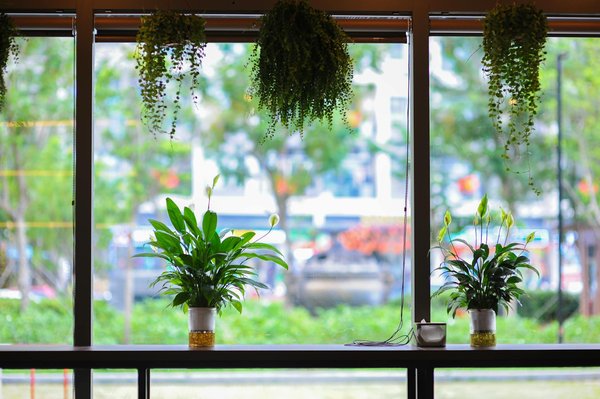 Découvrez les 10 joyaux cachés des réserves naturelles en France: Beauté et biodiversité à l'honneur